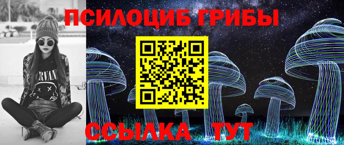 как найти закладки  Галлюциногенные грибы MAGIC MUSHROOMS  Вход с VPN  Ессентуки 