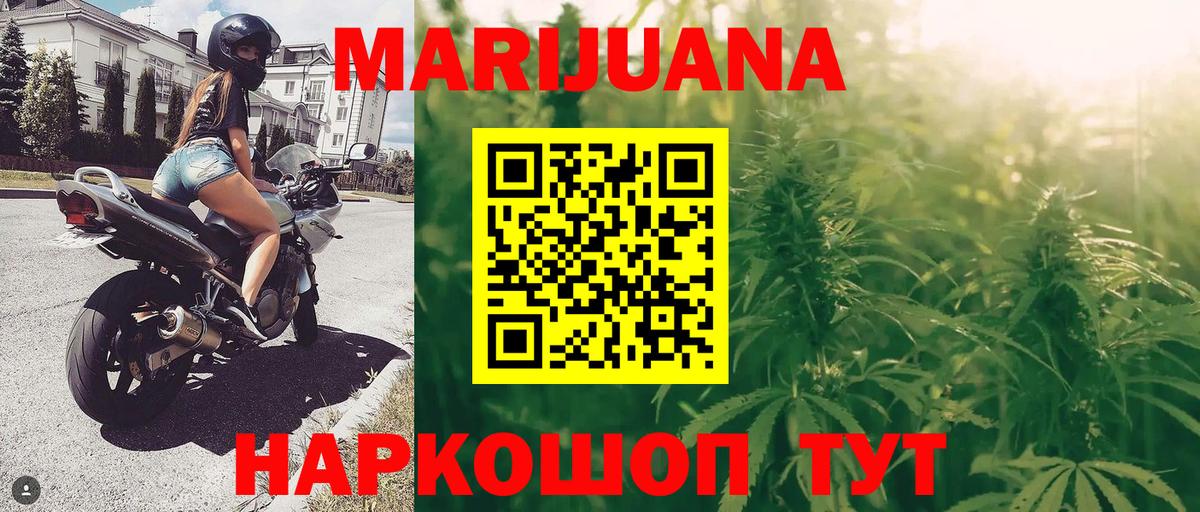 Конопля индика Ессентуки